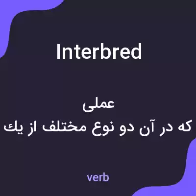 معنی interbred به فارسی معنی interbred به فارسی
