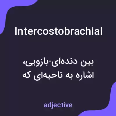 معنی intercostobrachial به فارسی معنی intercostobrachial به فارسی