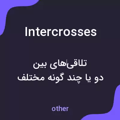 معنی intercrosses به فارسی معنی intercrosses به فارسی
