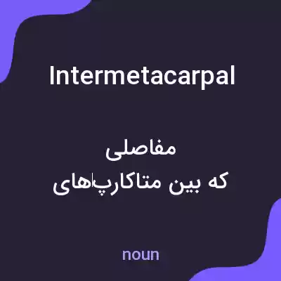 معنی intermetacarpal به فارسی معنی intermetacarpal به فارسی