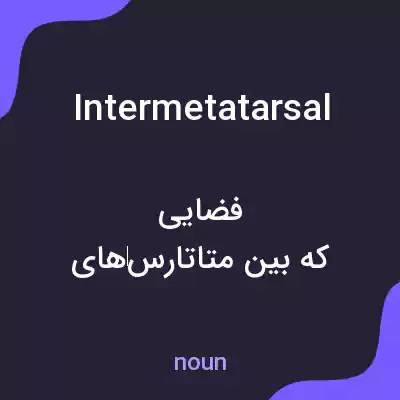 معنی intermetatarsal به فارسی معنی intermetatarsal به فارسی