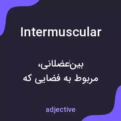معنی intermuscular به فارسی معنی intermuscular به فارسی