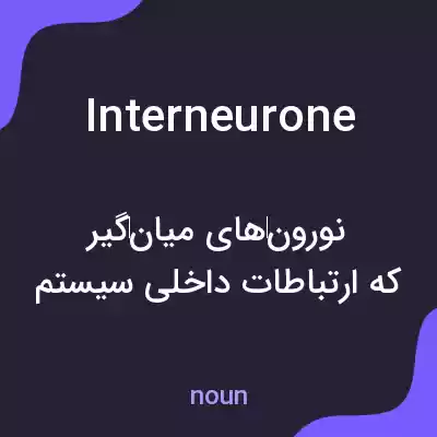 معنی interneurone به فارسی معنی interneurone به فارسی
