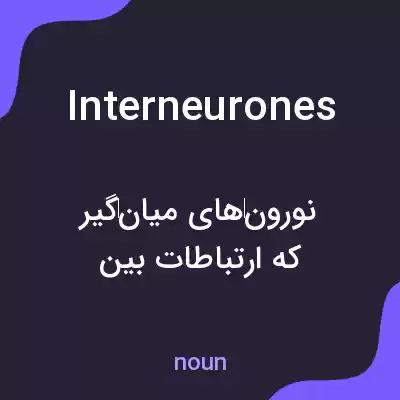 معنی interneurones به فارسی معنی interneurones به فارسی