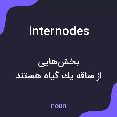 معنی internodes به فارسی معنی internodes به فارسی