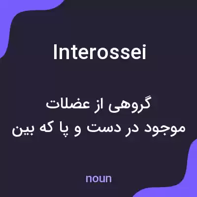 معنی interossei به فارسی معنی interossei به فارسی
