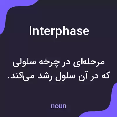 معنی interphase به فارسی معنی interphase به فارسی