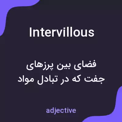 معنی intervillous به فارسی معنی intervillous به فارسی