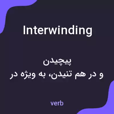 معنی interwinding به فارسی معنی interwinding به فارسی