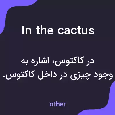 معنی in the cactus به فارسی معنی in the cactus به فارسی