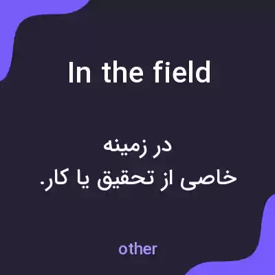 معنی in the field به فارسی معنی in the field به فارسی
