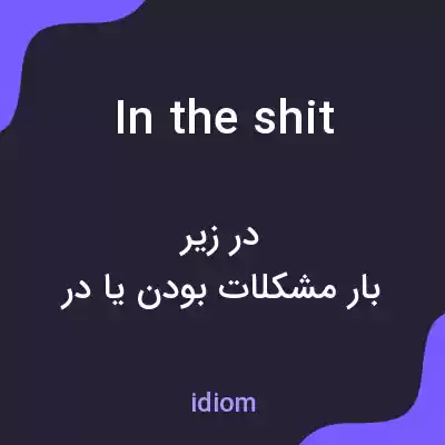 معنی in the shit به فارسی معنی in the shit به فارسی