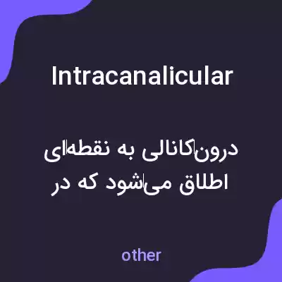 معنی intracanalicular به فارسی معنی intracanalicular به فارسی