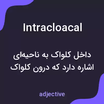 معنی intracloacal به فارسی