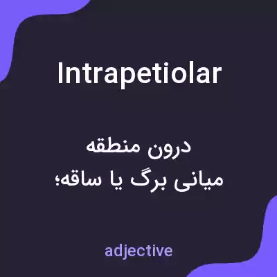 معنی intrapetiolar به فارسی معنی intrapetiolar به فارسی