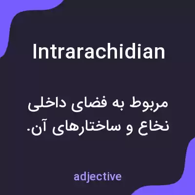 معنی intrarachidian به فارسی معنی intrarachidian به فارسی