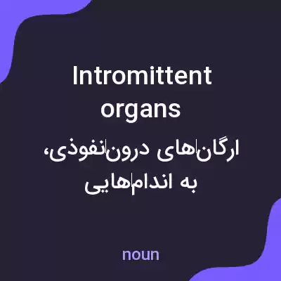 معنی intromittent organs به فارسی معنی intromittent organs به فارسی