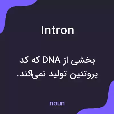 معنی intron به فارسی معنی intron به فارسی