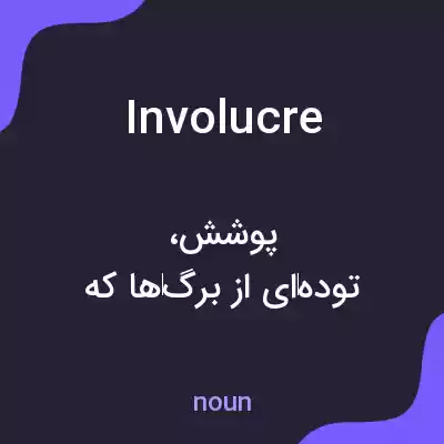 معنی involucre به فارسی معنی involucre به فارسی