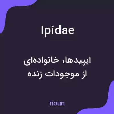 معنی ipidae به فارسی معنی ipidae به فارسی