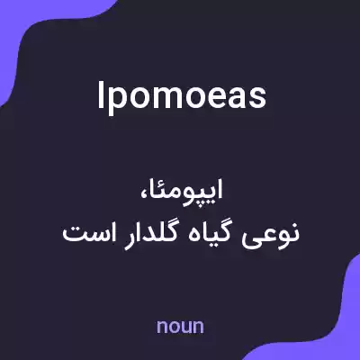 معنی ipomoeas به فارسی معنی ipomoeas به فارسی