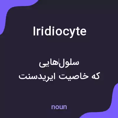 معنی iridiocyte به فارسی معنی iridiocyte به فارسی