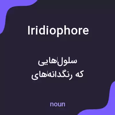 معنی iridiophore به فارسی معنی iridiophore به فارسی