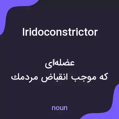 معنی iridoconstrictor به فارسی معنی iridoconstrictor به فارسی