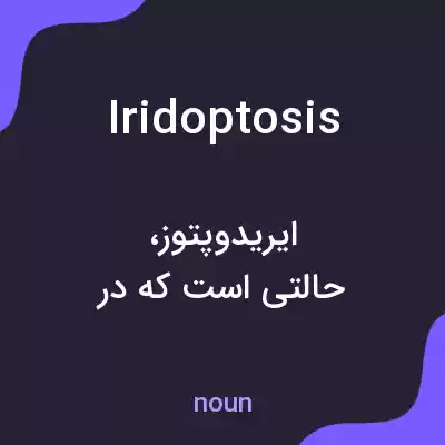 معنی iridoptosis به فارسی معنی iridoptosis به فارسی