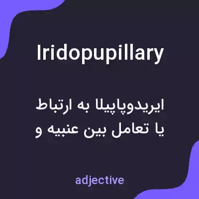 معنی iridopupillary به فارسی معنی iridopupillary به فارسی
