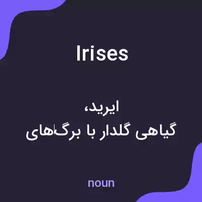 معنی irises به فارسی معنی irises به فارسی