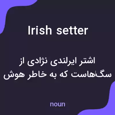معنی irish setter به فارسی معنی irish setter به فارسی