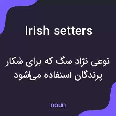 معنی irish setters به فارسی معنی irish setters به فارسی