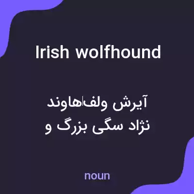 معنی irish wolfhound به فارسی معنی irish wolfhound به فارسی