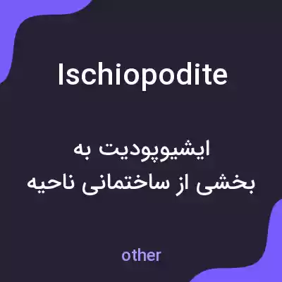 معنی ischiopodite به فارسی معنی ischiopodite به فارسی