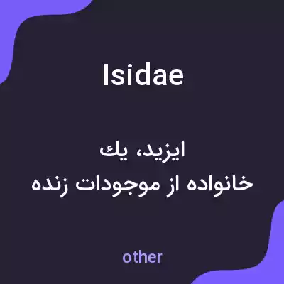معنی isidae به فارسی معنی isidae به فارسی