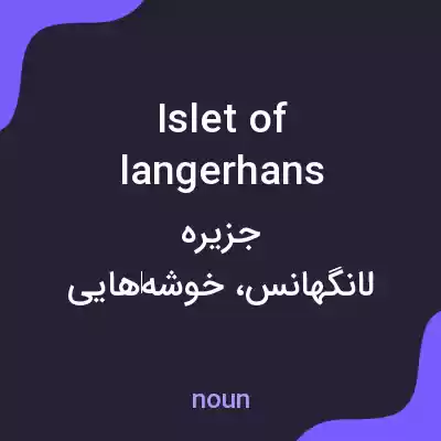معنی islet of langerhans به فارسی معنی islet of langerhans به فارسی