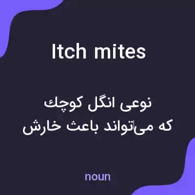 معنی itch mites به فارسی معنی itch mites به فارسی