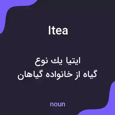 معنی itea به فارسی معنی itea به فارسی