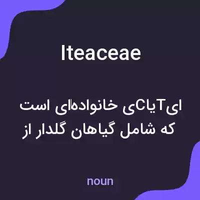 معنی iteaceae به فارسی معنی iteaceae به فارسی