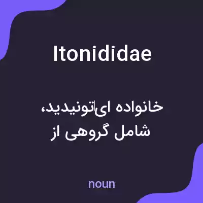 معنی itonididae به فارسی معنی itonididae به فارسی