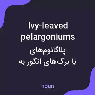 معنی ivy-leaved pelargoniums به فارسی معنی ivy-leaved pelargoniums به فارسی