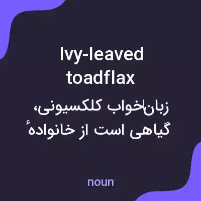 معنی ivy-leaved toadflax به فارسی معنی ivy-leaved toadflax به فارسی