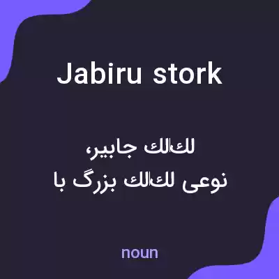 معنی jabiru stork به فارسی معنی jabiru stork به فارسی