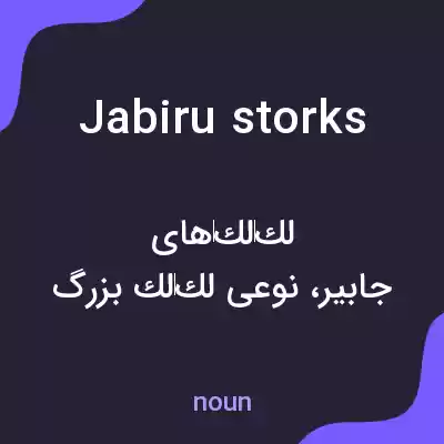 معنی jabiru storks به فارسی معنی jabiru storks به فارسی