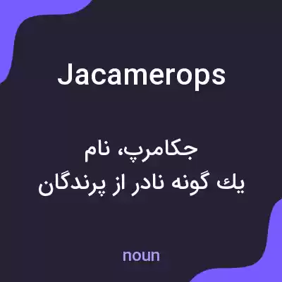 معنی jacamerops به فارسی معنی jacamerops به فارسی