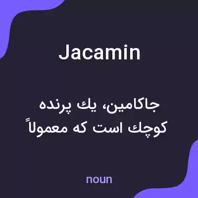 معنی jacamin به فارسی