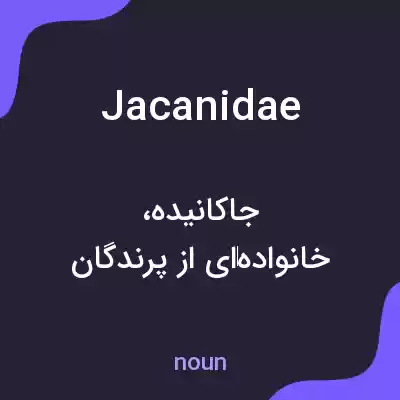 معنی jacanidae به فارسی