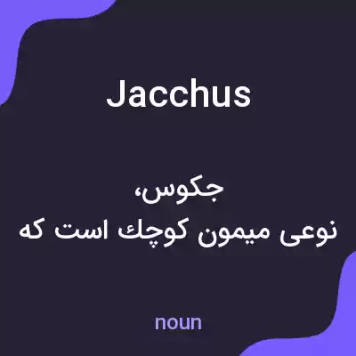معنی jacchus به فارسی