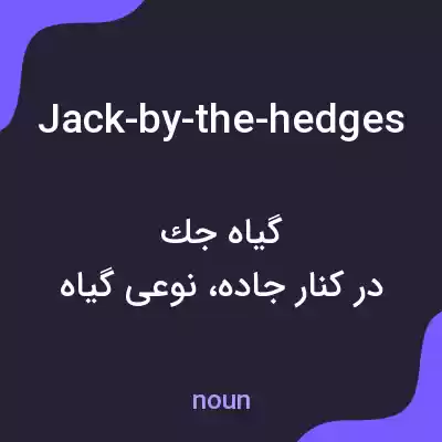 معنی jack-by-the-hedges به فارسی معنی jack-by-the-hedges به فارسی